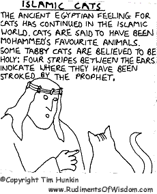 Islamic Cats