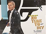 ruin a bond poster